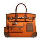 Hermes Birkin 35 Canvas & Swift Leather Cargo Orange