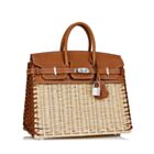 Hermes Birkin 25 Picnic Sellier Coffee