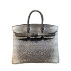 Hermes Birkin 25 Ombre Lizard Palladium Hardware Cream