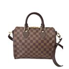 Louis Vuitton Damier Speedy N41181 Brown