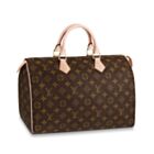 Louis Vuitton Speedy M41524 Brown