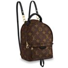 Louis Vuitton Monogram Palm Springs Backpack Mini Bag M41562 Brown