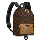 Louis Vuitton Palm Springs Pm M44870 Brown