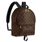 Louis vuitton Palm Springs Backpack PM M41561 Black