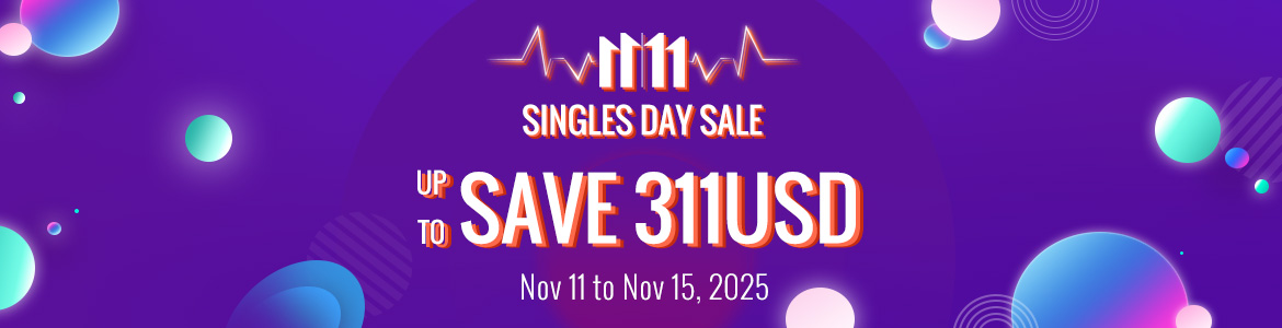 2025 11-11 Sale