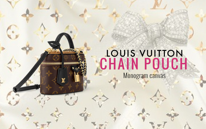 Louis Vuitton Vanity Chain Pouch M47125 Brown